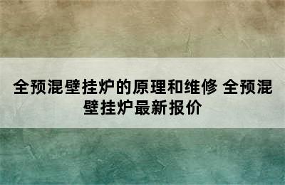 全预混壁挂炉的原理和维修 全预混壁挂炉最新报价